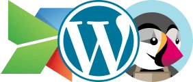 Website development on CMS Website development on CMS